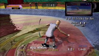 TonyHawkProject8